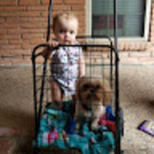 Meet your Posher, Marcella